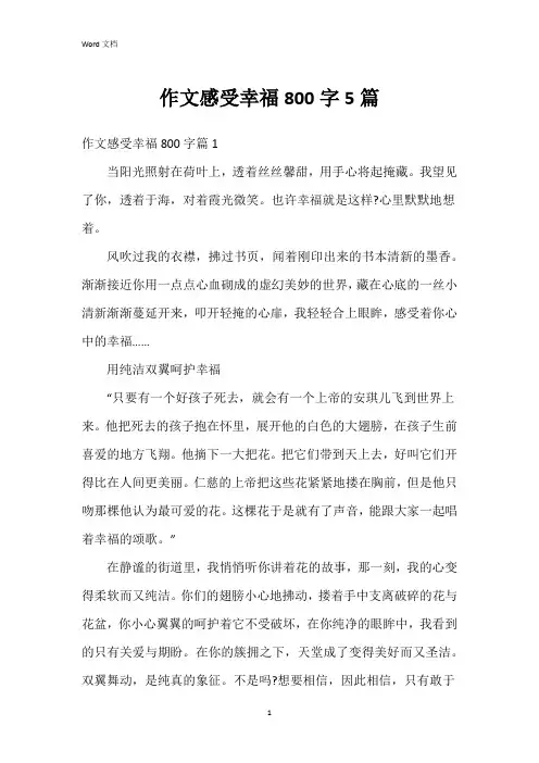 作文感受幸福800字5篇