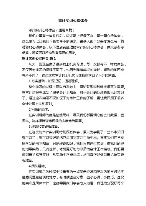 审计实训心得体会