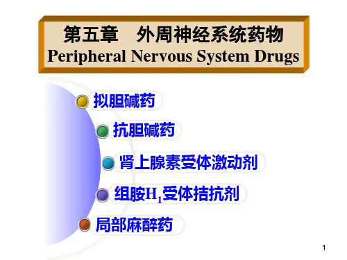 B05第五章—外周神经系统药物