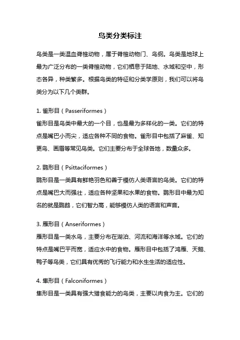 鸟类分类标注