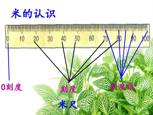 数学二年级上北师大版6《1米有多长》课件(16张)