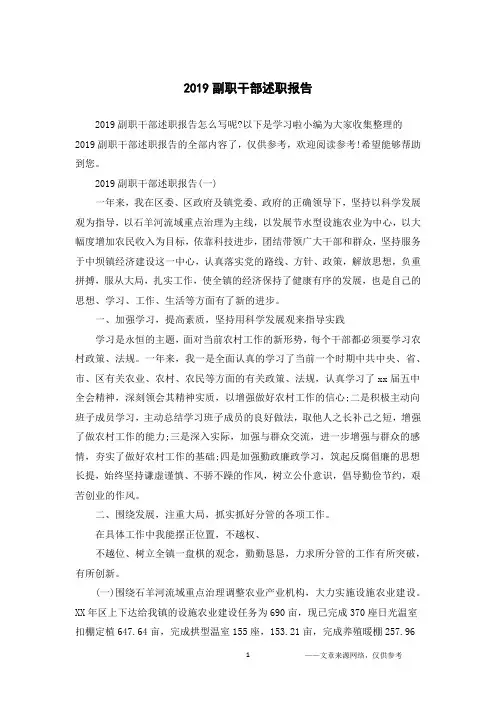 2019副职干部述职报告
