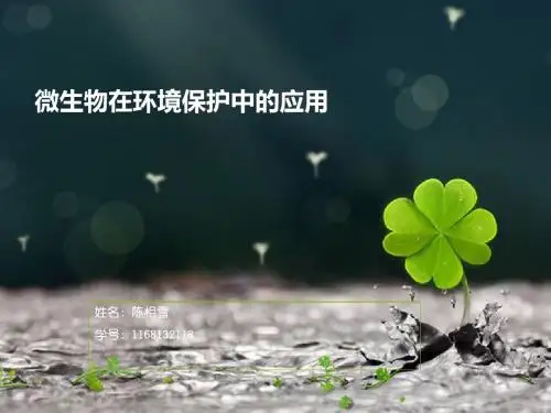 微生物在环境保护中的应用
