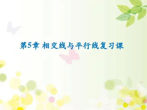 人教版七年级数学-下册-第五章相交线与平行线-复习课件-(共32张PPT)