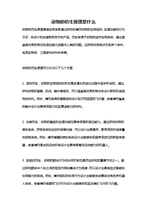 动物的仿生原理是什么