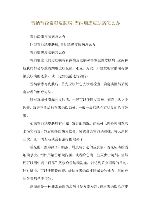 雪纳瑞经常犯皮肤病-雪纳瑞患皮肤病怎么办
