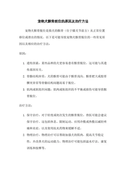 宠物犬髌骨脱位的原因及治疗方法