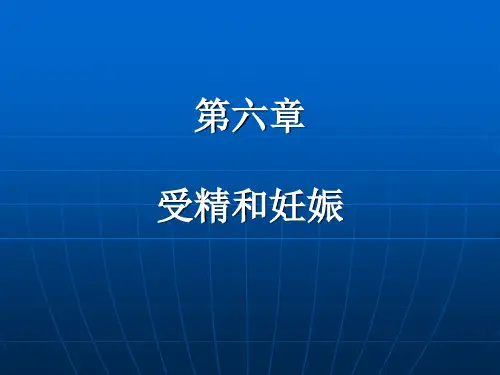 第五章授精与妊娠