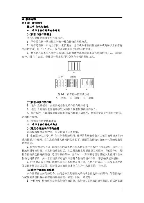 《农作物生产技术教案（北方本）（第二版）》——第一章耕作制度第三节问作与套作（高教版）