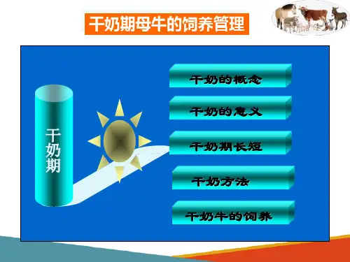 牛羊生产—泌乳牛饲养管理(动物生产技术课件)