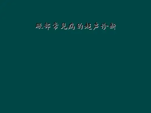 眼部常见病的超声诊断
