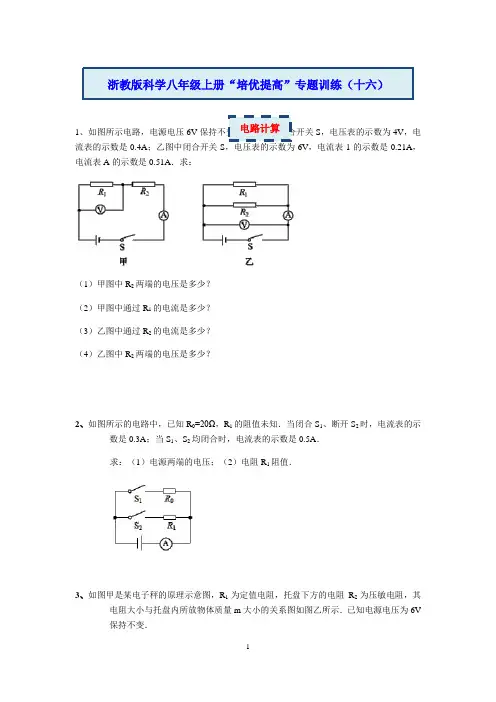 浙教版科学八年级上册“培优提高”专题训练(十六)：电路计算【含答案及解析】