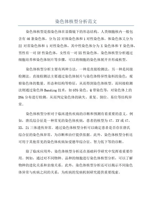 染色体核型分析范文