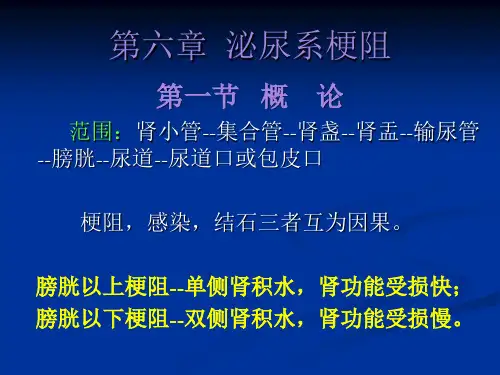 泌尿系梗阻教案