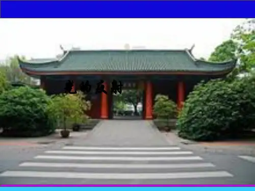 人教版物理八年级上4.2光的反射 教学课件(15张PPT)