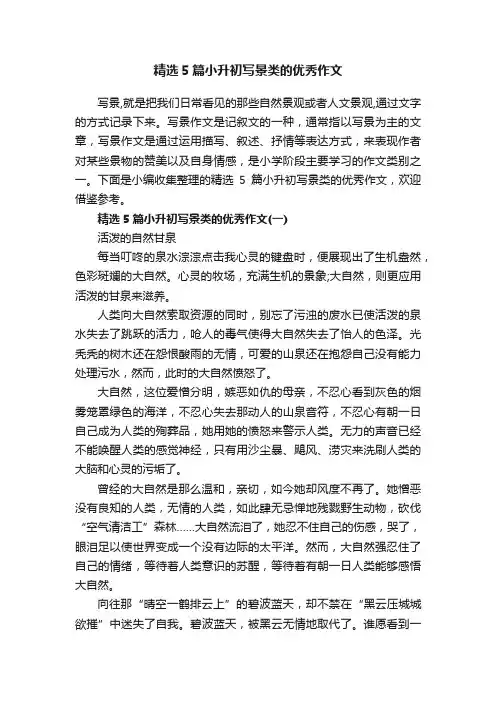 精选5篇小升初写景类的优秀作文