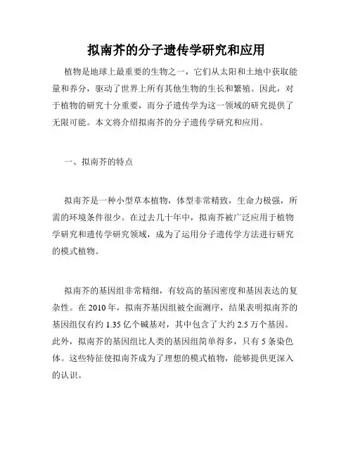 拟南芥的分子遗传学研究和应用