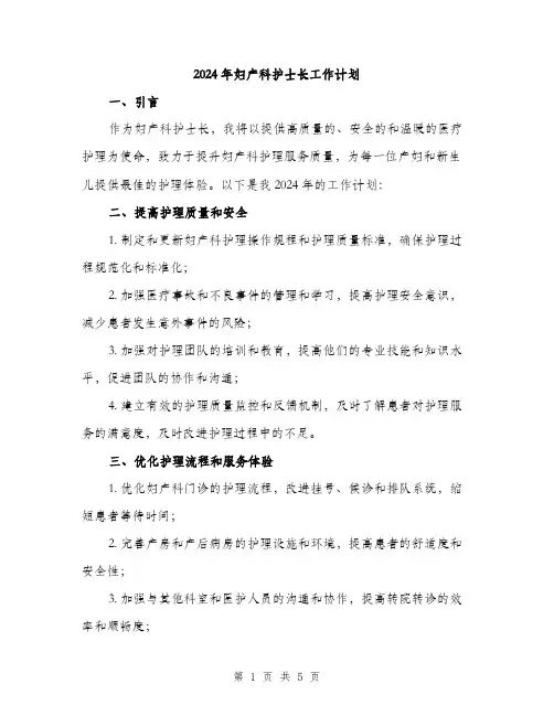 2024年妇产科护士长工作计划(2篇)