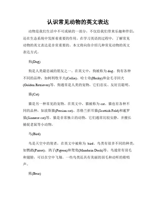认识常见动物的英文表达