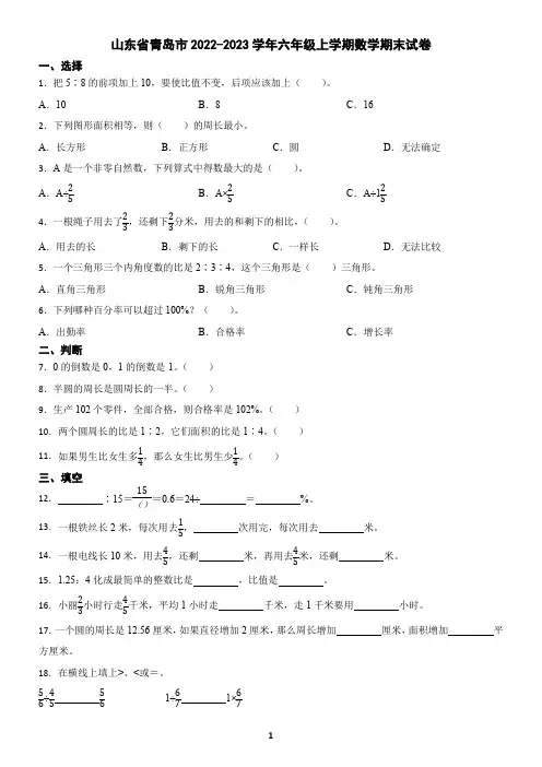 山东省青岛市2022-2023学年六年级上学期数学期末试卷(含答案)