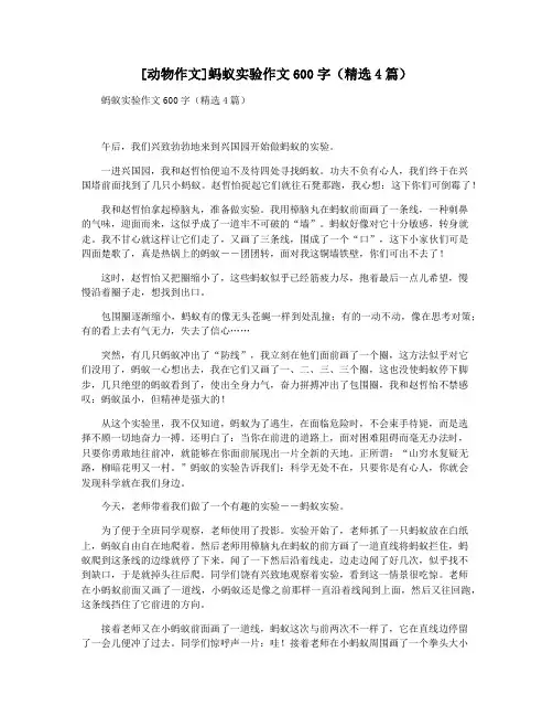 [动物作文]蚂蚁实验作文600字(精选4篇)