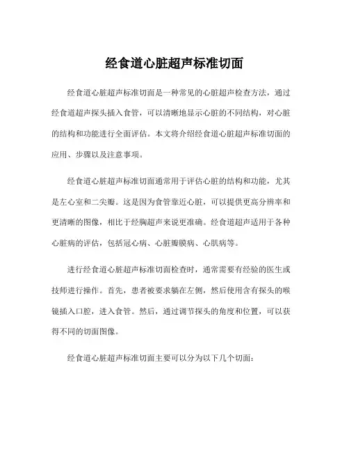 经食道心脏超声标准切面