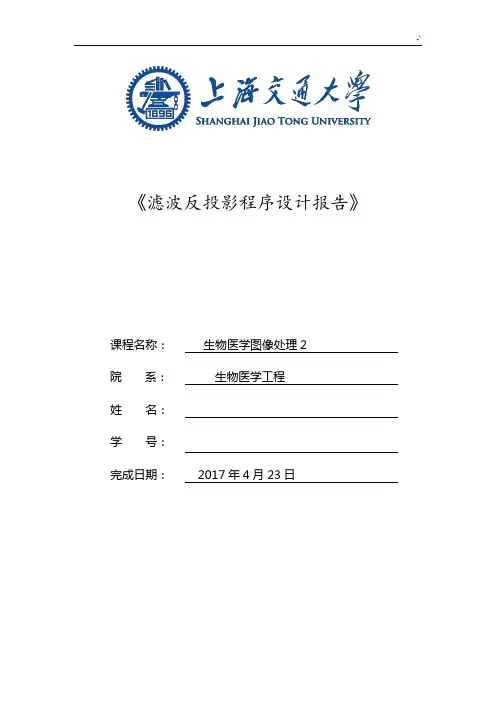 滤波反投影程序设计报告