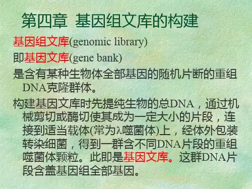 基因组文库的构建.ppt