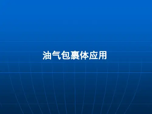 5 油气包裹体研究