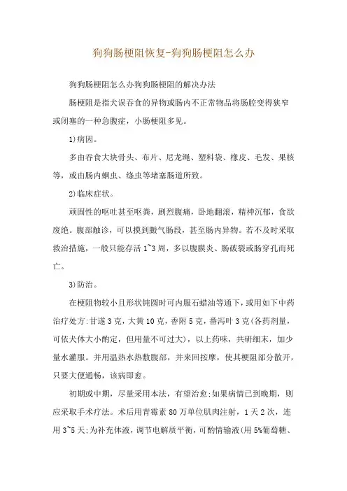 狗狗肠梗阻恢复-狗狗肠梗阻怎么办