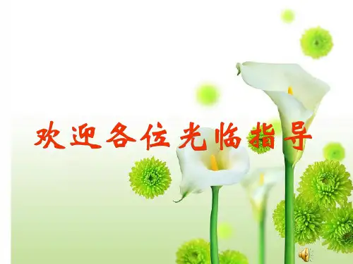 苏科版-物理-九年级下册-(苏科版)物理九年级下册课件15.2电功率