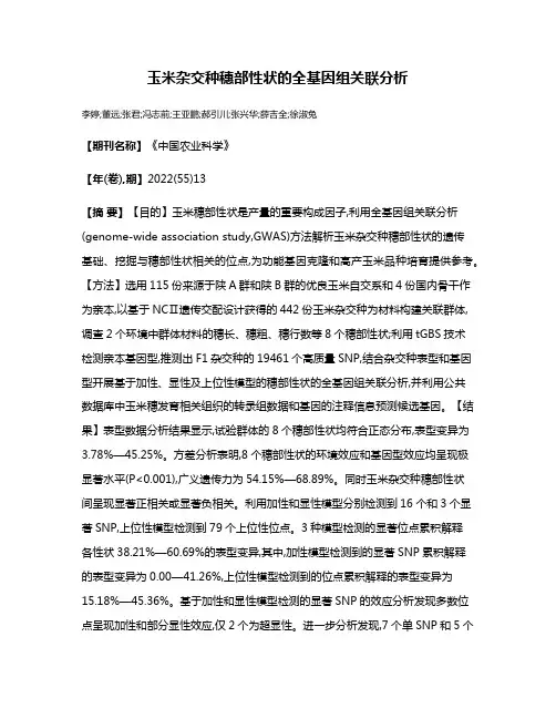 玉米杂交种穗部性状的全基因组关联分析