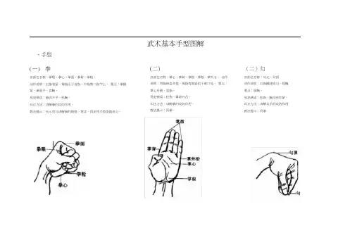 武术基本手型和步法图解(公开课)