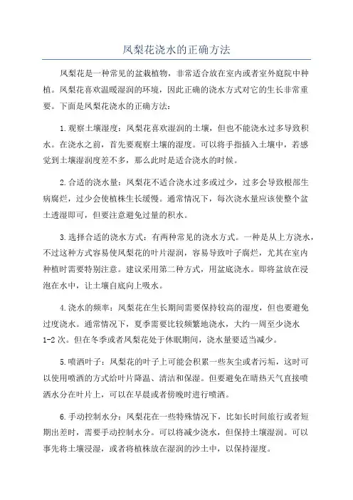 凤梨花浇水的正确方法
