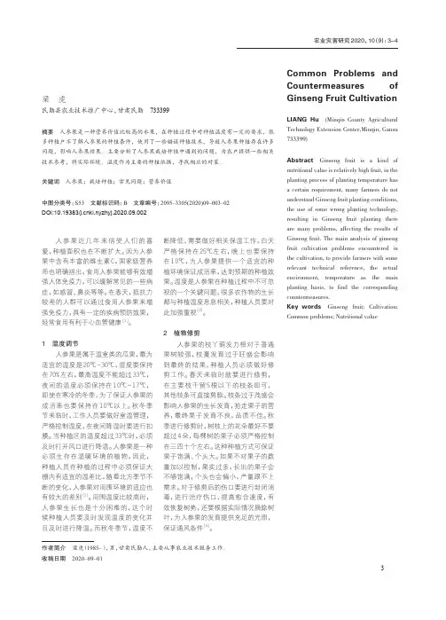 人参果栽培种植常见问题及对策