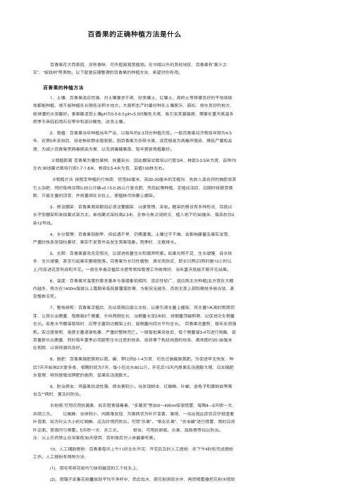 百香果的正确种植方法是什么