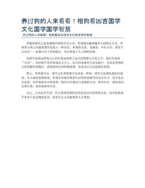 养过狗的人来看看!相狗看凶吉国学文化国学国学智慧