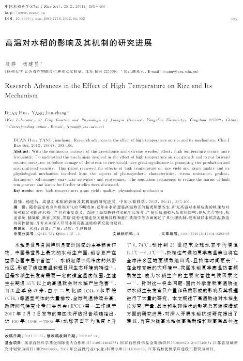 高温对水稻的影响及其机制的研究进展