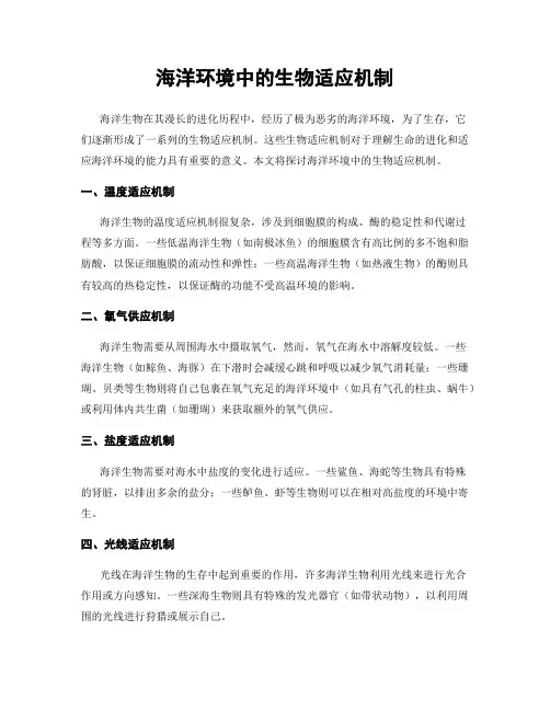 海洋环境中的生物适应机制