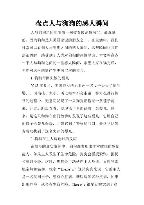 盘点人与狗狗的感人瞬间