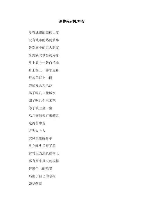 新体诗示例,30行