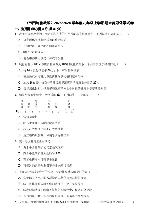(五四制鲁教版)山东省青岛市市北区2023-2024学年度九年级上学期期末复习化学试卷