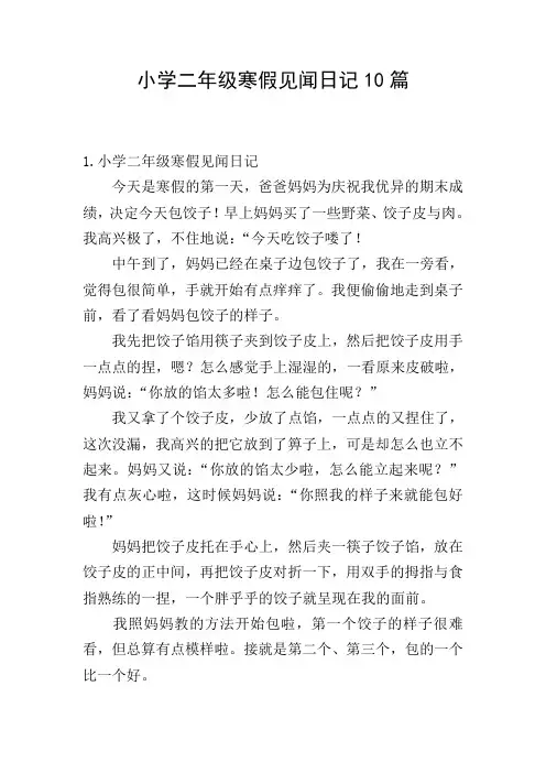 小学二年级寒假见闻日记10篇