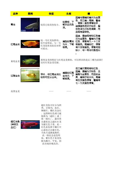 各种龙鱼对比