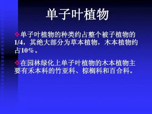 8单子叶植物