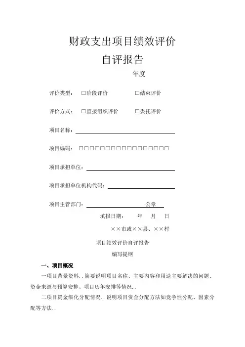 财政支出项目绩效评价自评报告