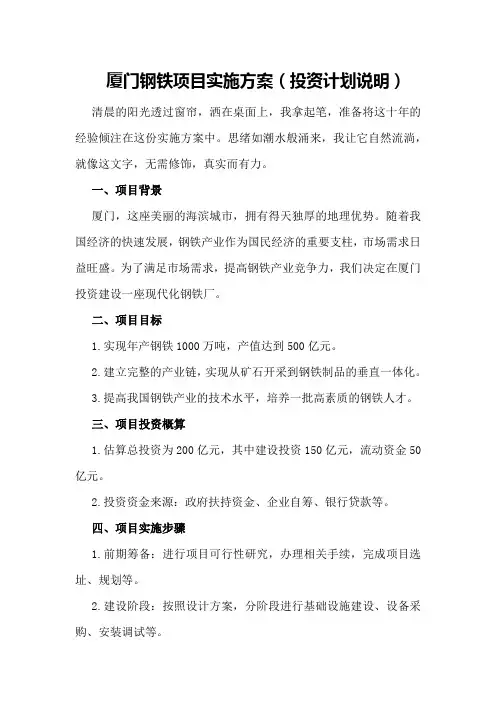 厦门钢铁项目实施方案