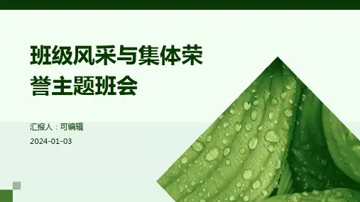 班级风采与集体荣誉主题班会