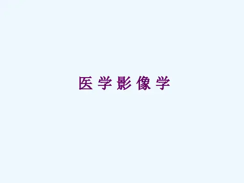 医学影像学骨骼和肌肉系统