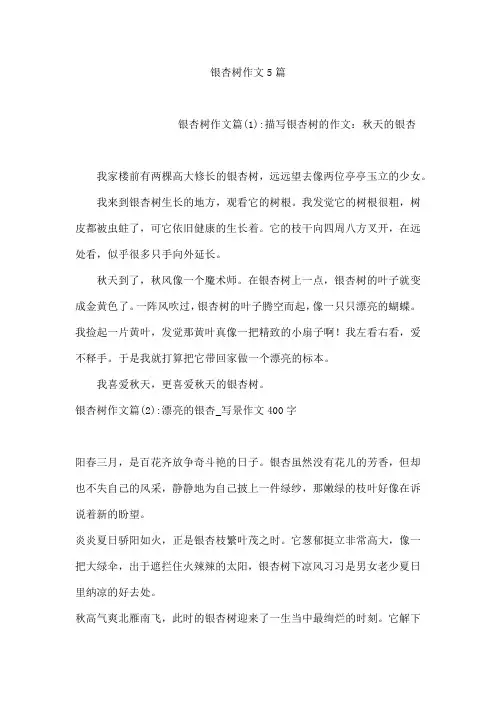 银杏树作文5篇